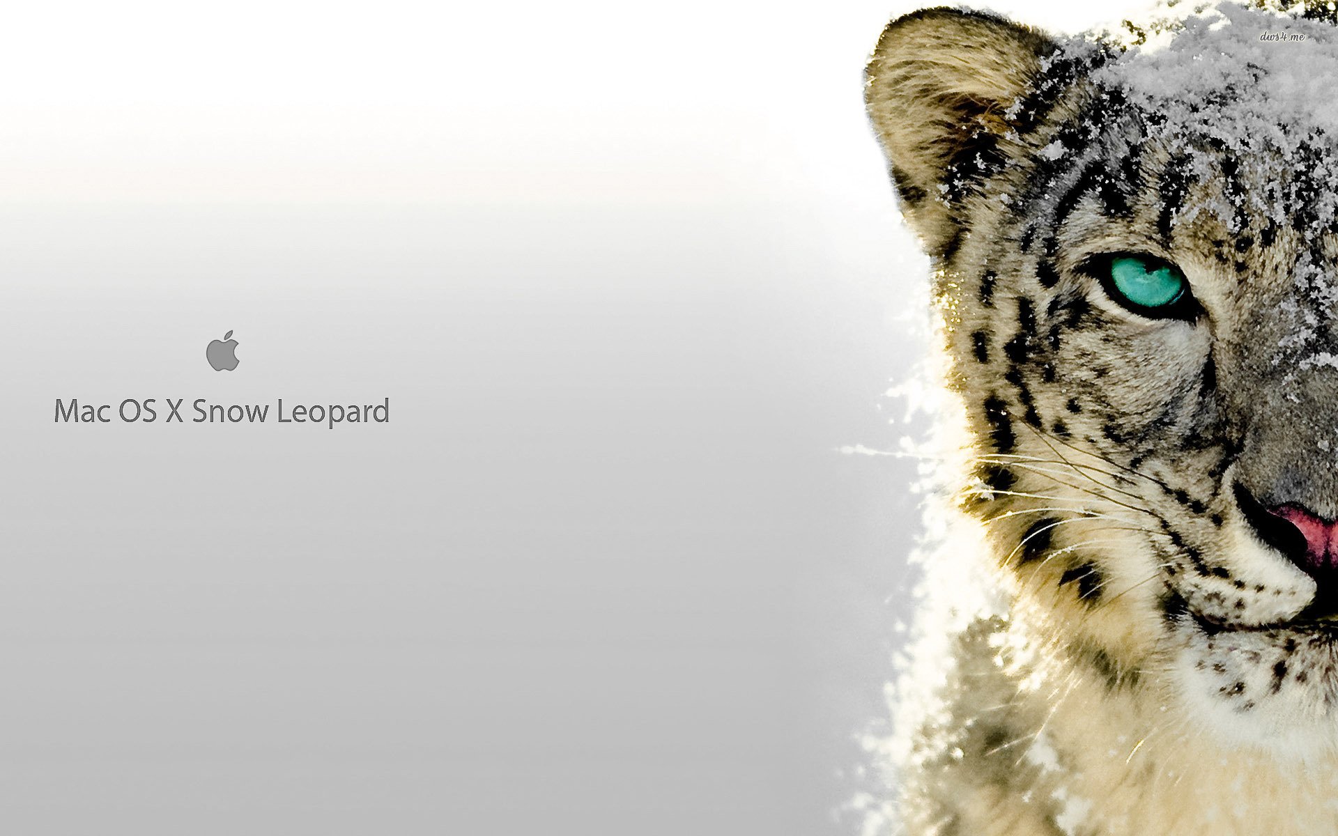 norton antivirus for mac snow leopard
